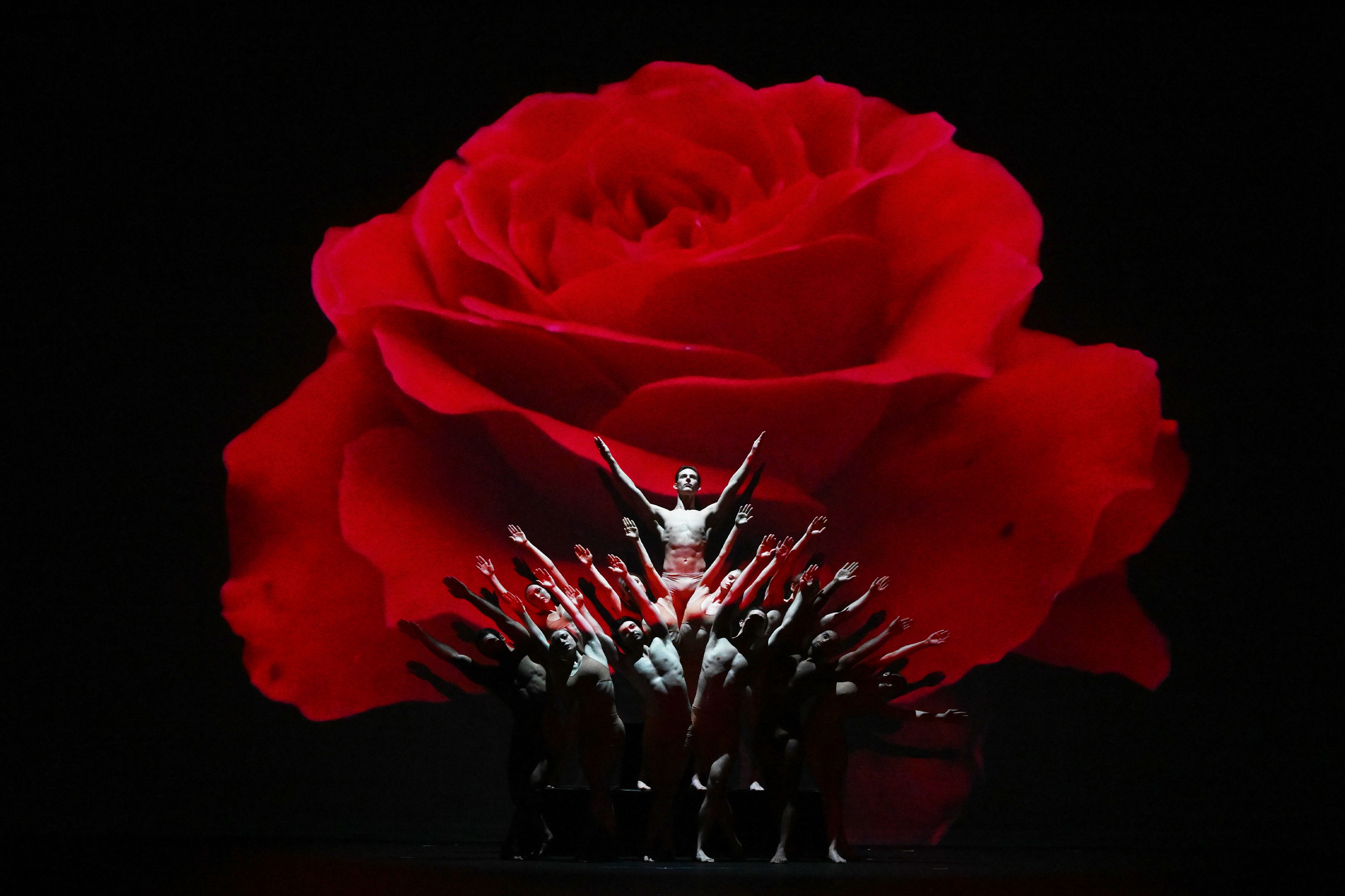 MOMIX Botanica dancers representing a rose